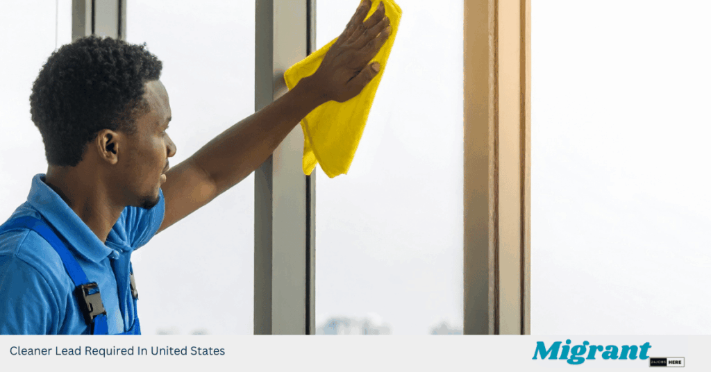 Cleaner Lead Required In United States