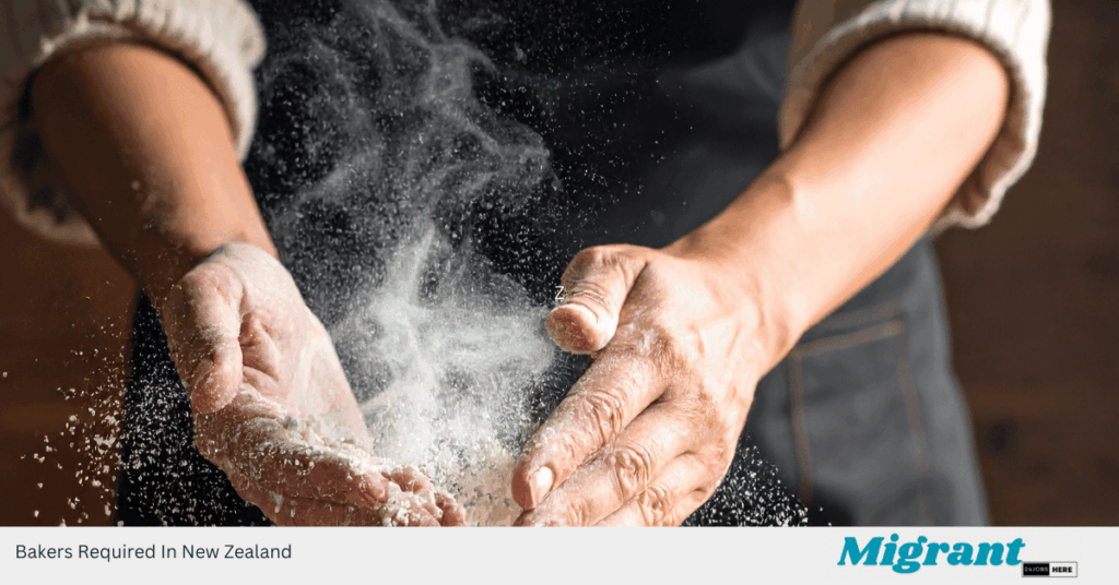 Bakers Required In New Zealand