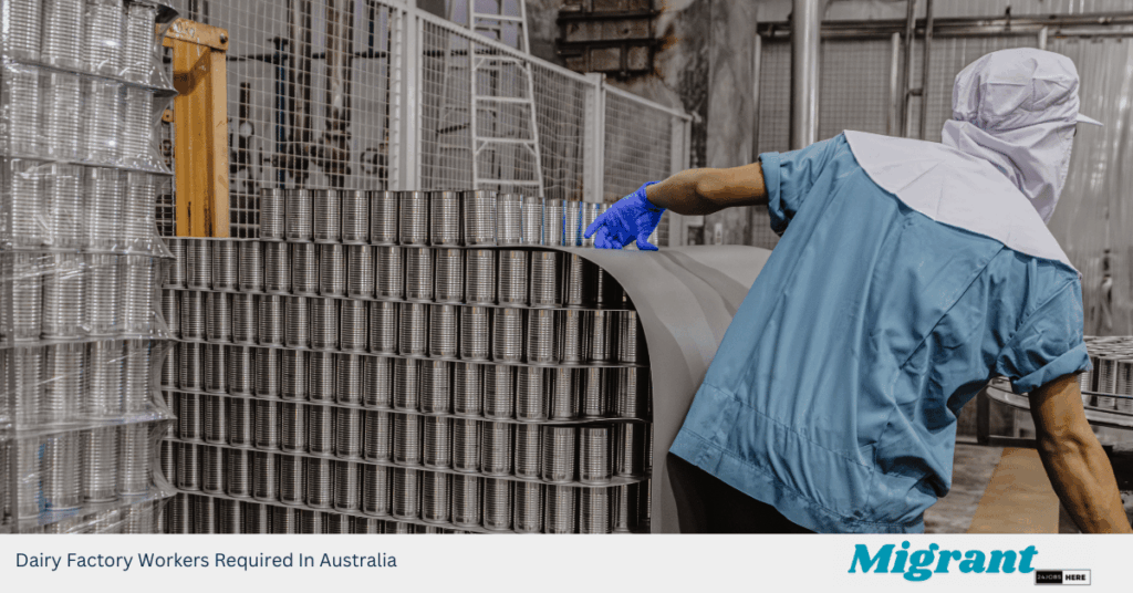 Dairy Factory Workers Required In Australia
