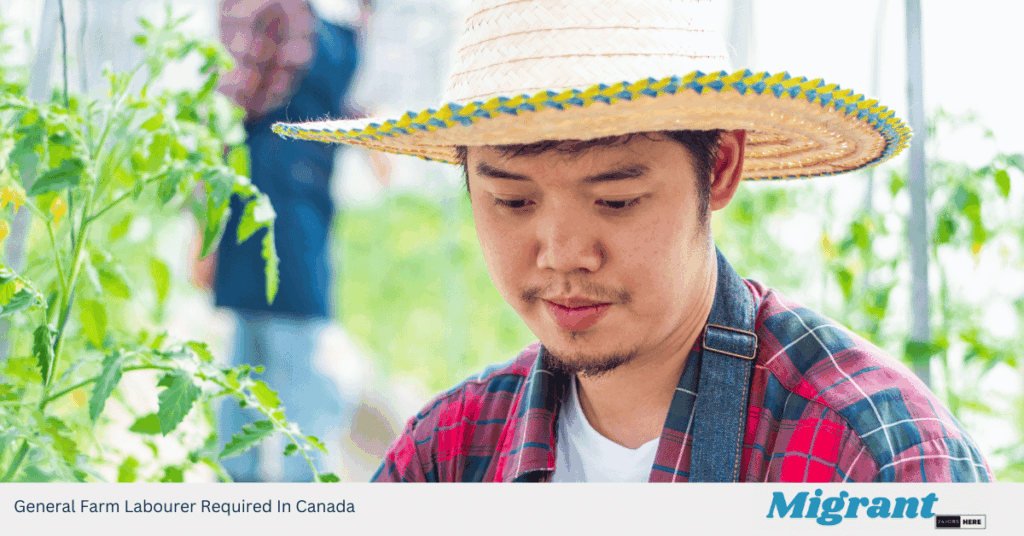 General Farm Labourer Required In Canada