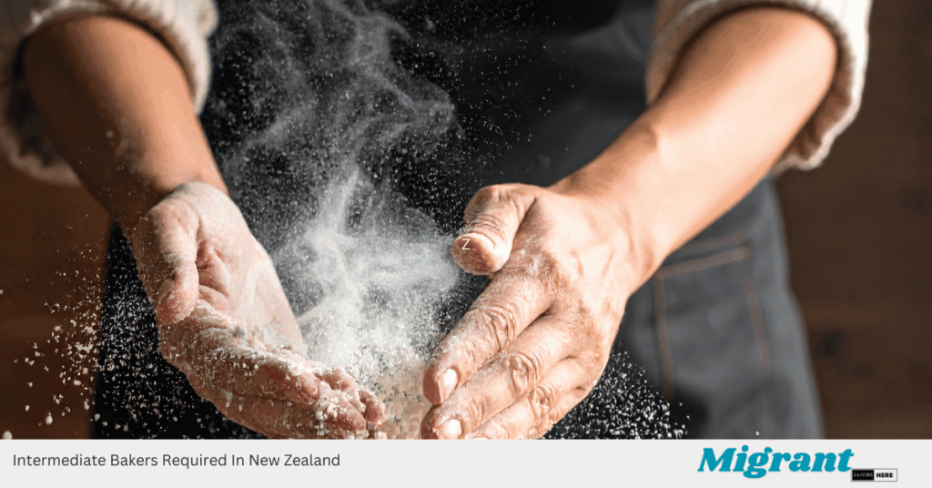 Intermediate Bakers Required In New Zealand