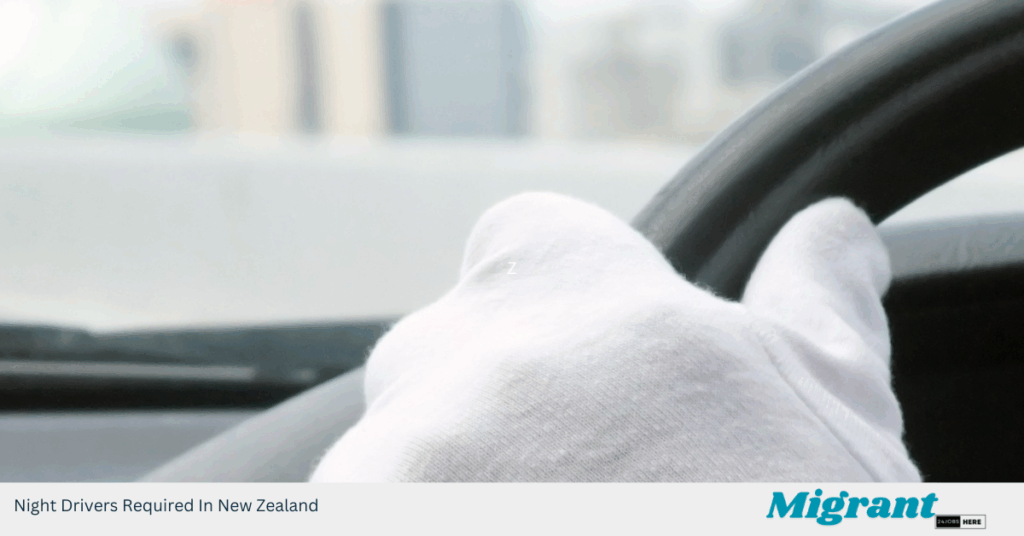 Night Drivers Required In New Zealand