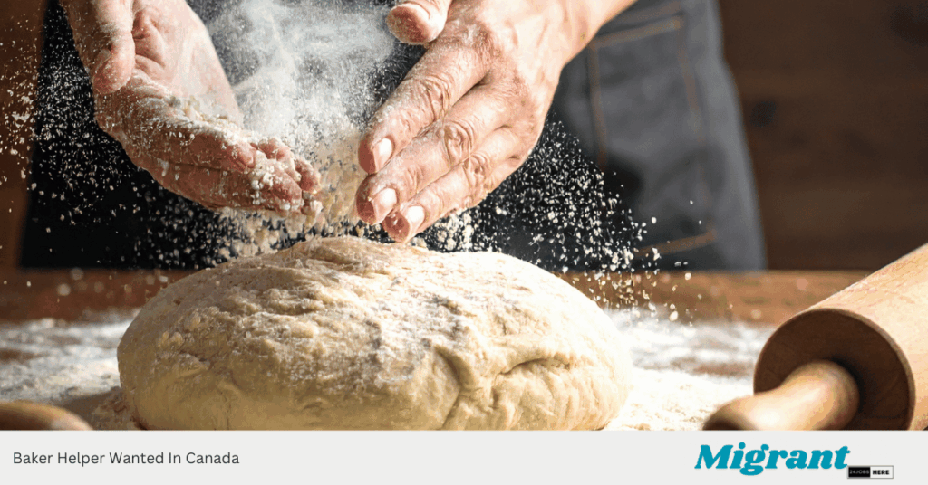 Baker Helper Wanted In Canada
