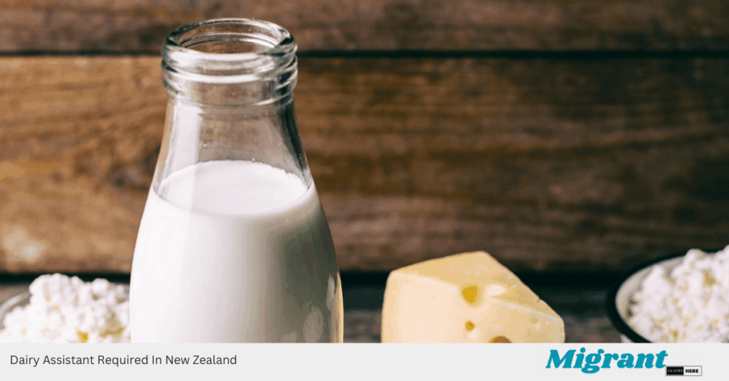 Dairy Assistant Required In New Zealand