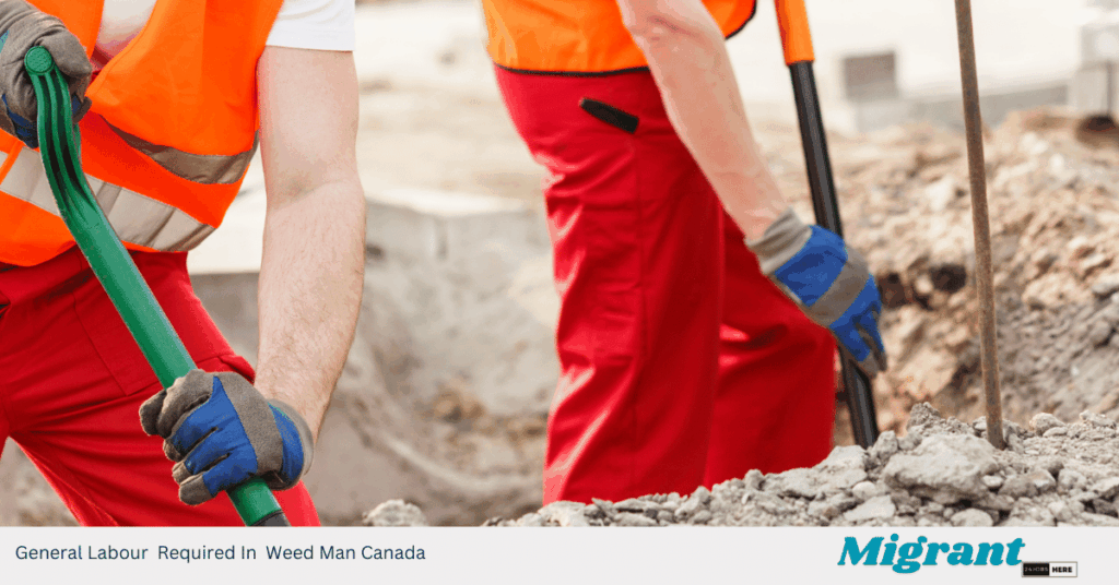 General Labour Required In Weed Man Canada