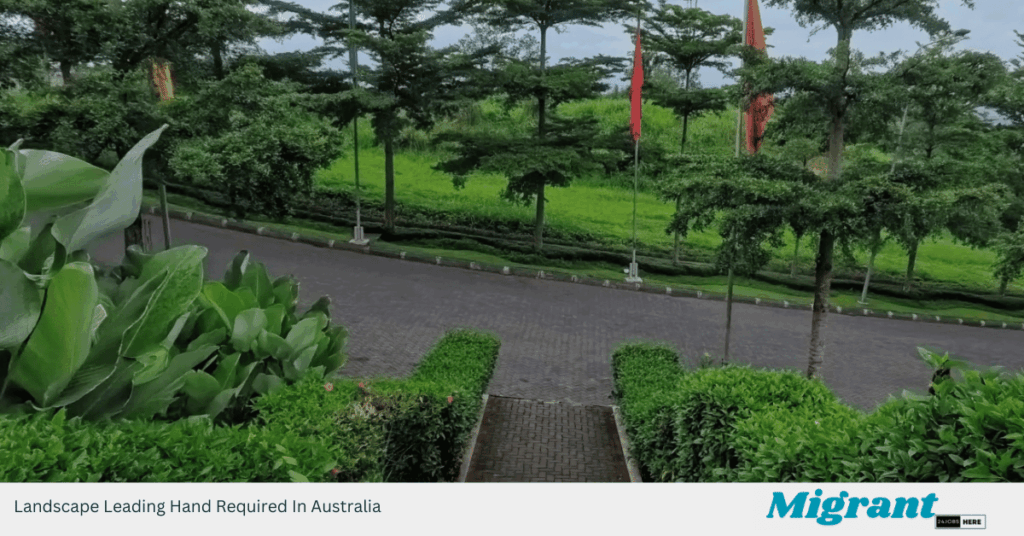 Landscape Leading Hand Required In Australia