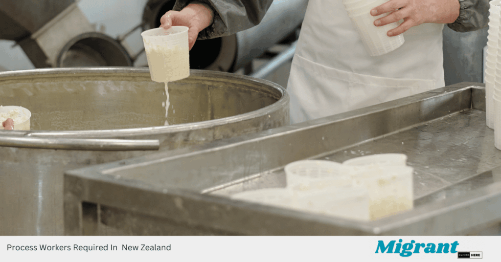 Process Workers Required In New Zealand