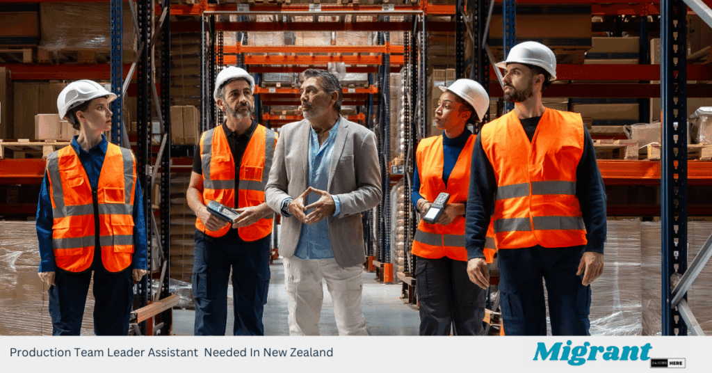 Production Team Leader Assistant Needed In New Zealand