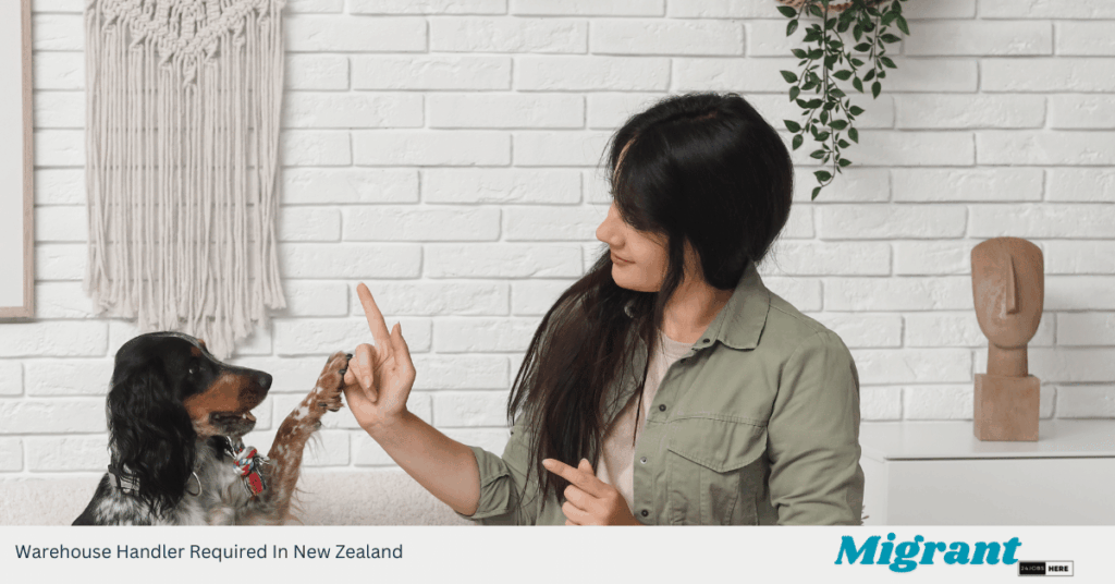 Warehouse Handler Required In New Zealand