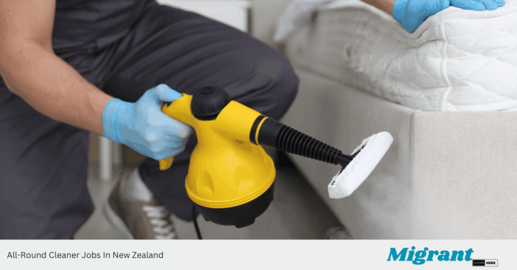 All-Round Cleaner Jobs In New Zealand