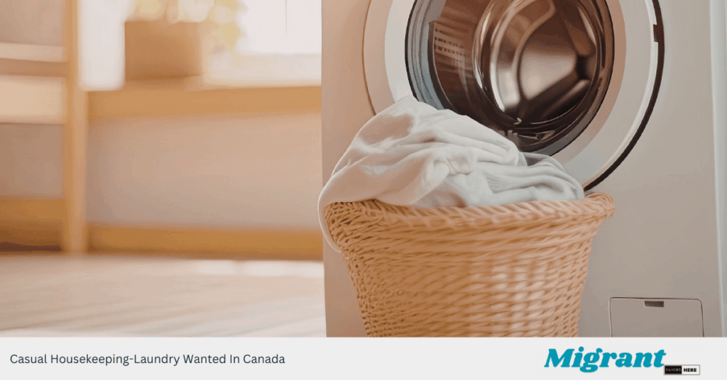 Casual Housekeeping​-Laundry Wanted In Canada