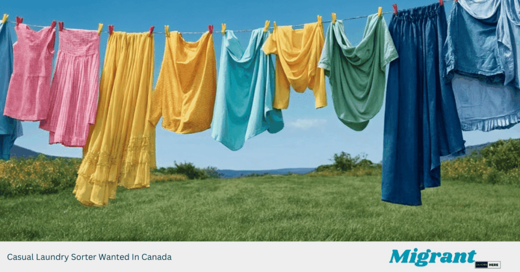 Casual Laundry Sorter Wanted In Canada