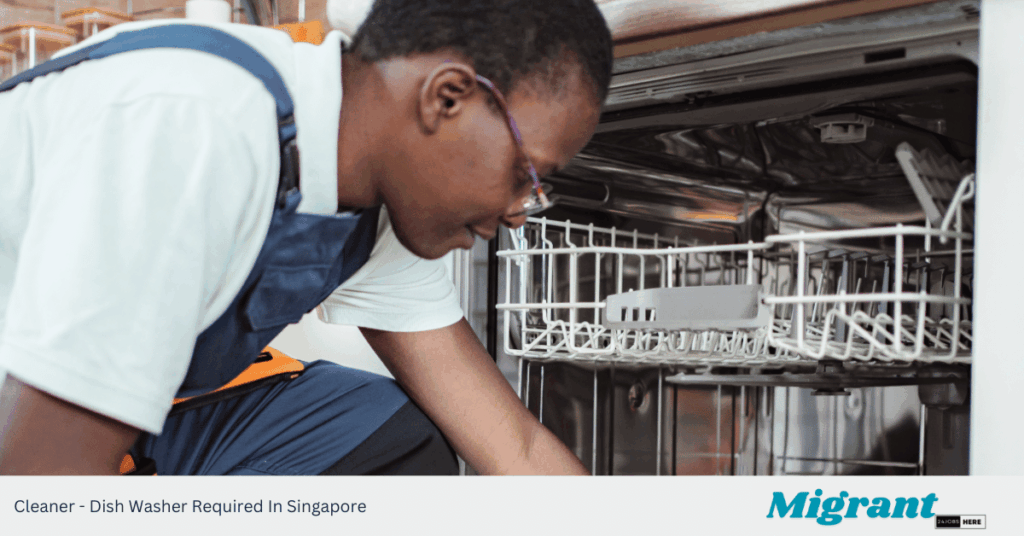 Cleaner - Dish Washer Required In Singapore