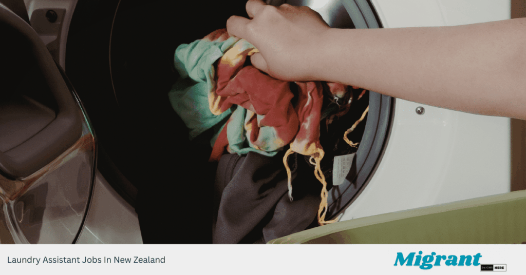 Laundry Assistant Jobs In New Zealand