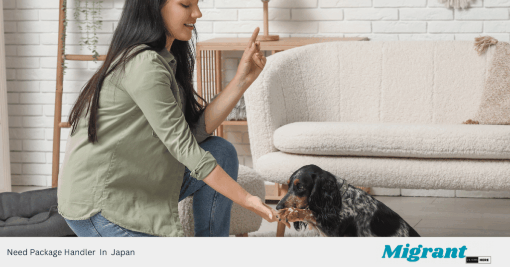 Need Package Handler In Japan