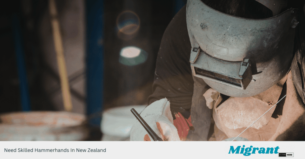Need Skilled Hammerhands In New Zealand