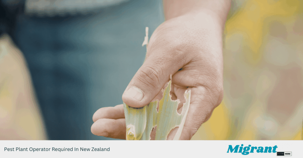 Pest Plant Operator Required In New Zealand