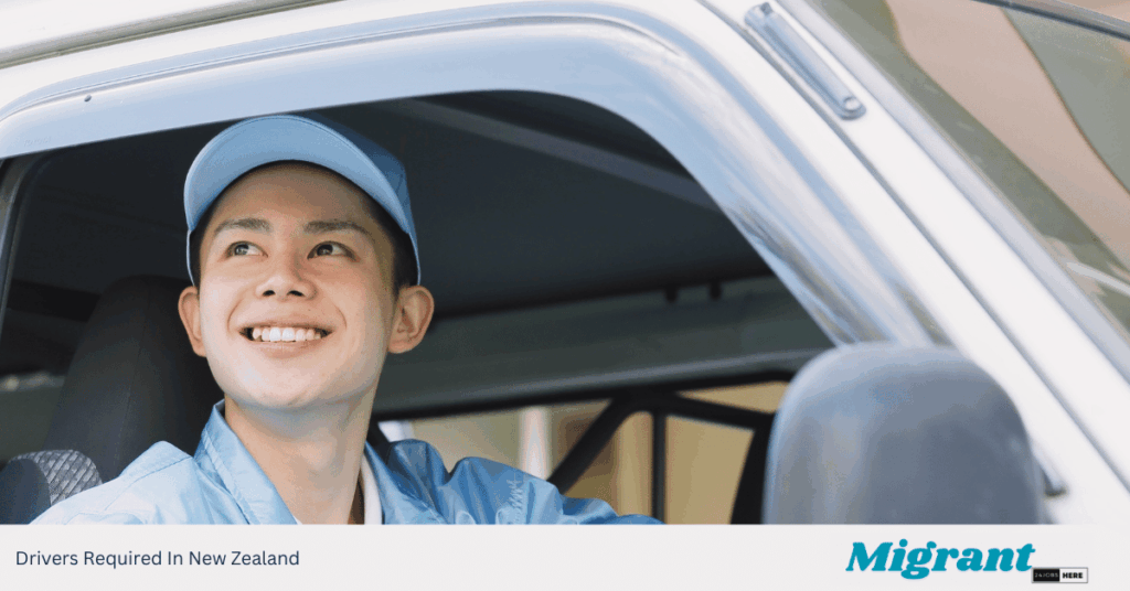 Drivers Required In New Zealand