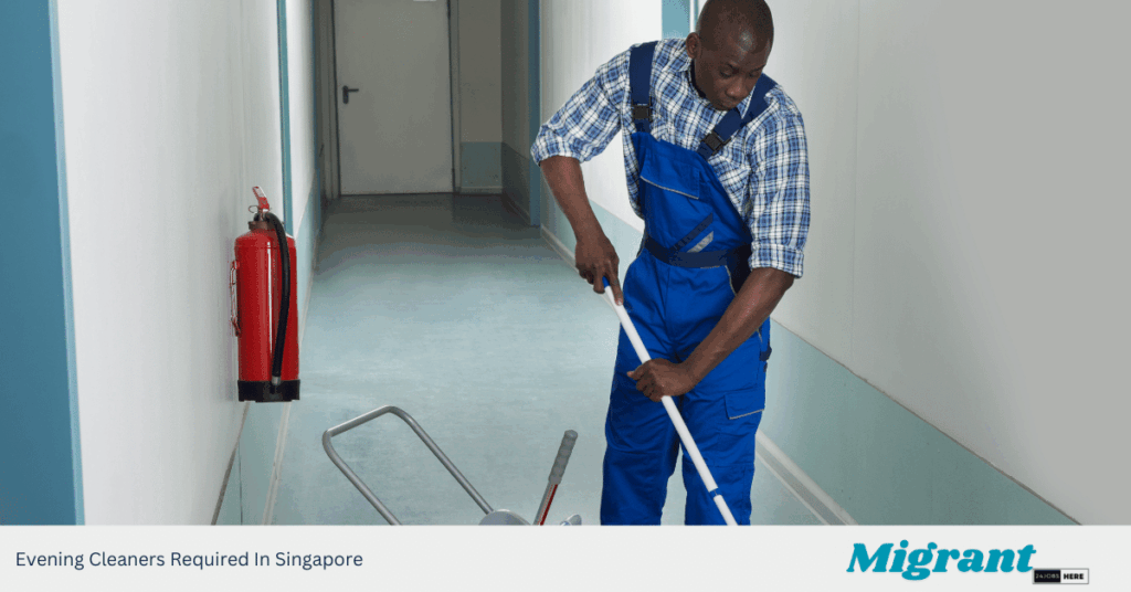 Evening Cleaners Required In Singapore