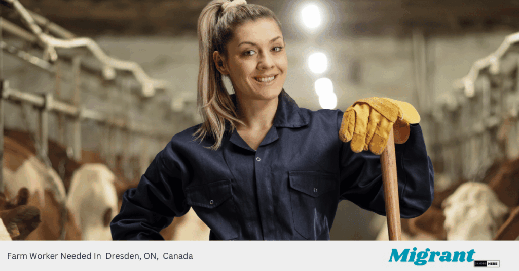 Farm Worker Needed In Dresden, ON, Canada