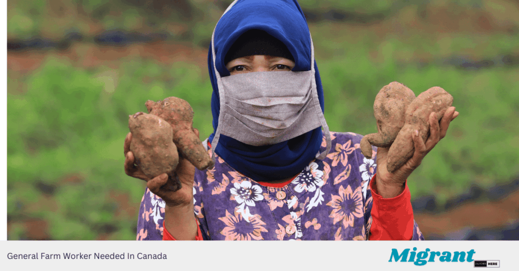 General Farm Worker Needed In Canada